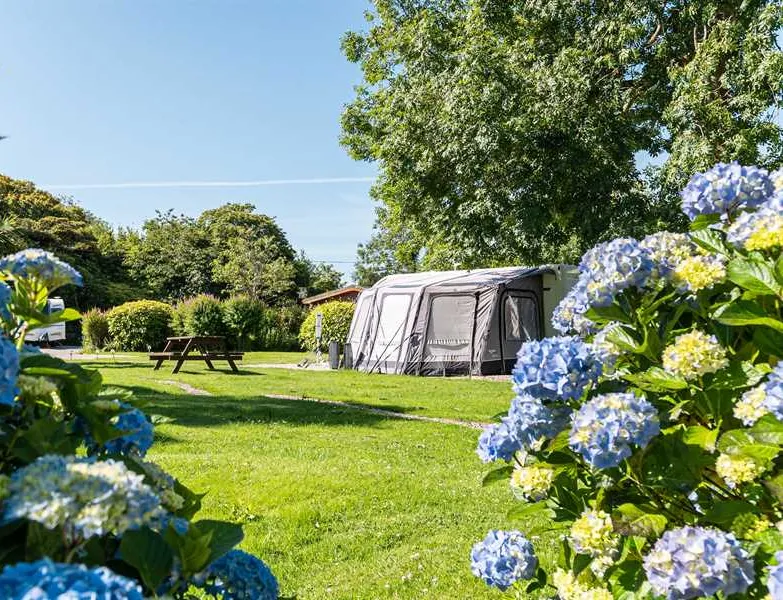 heligan-woods-caravan-camping-park-st-austell-dwu1e