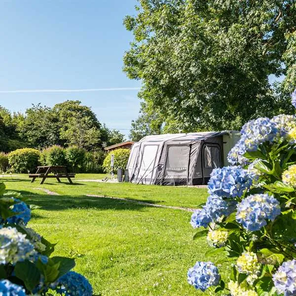 heligan-woods-caravan-camping-park-st-austell-dwu1e