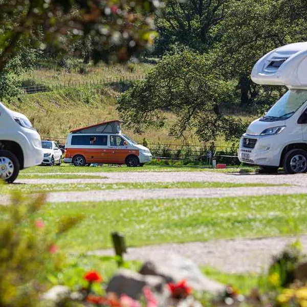 heligan-woods-caravan-camping-park-st-austell-jgp2w