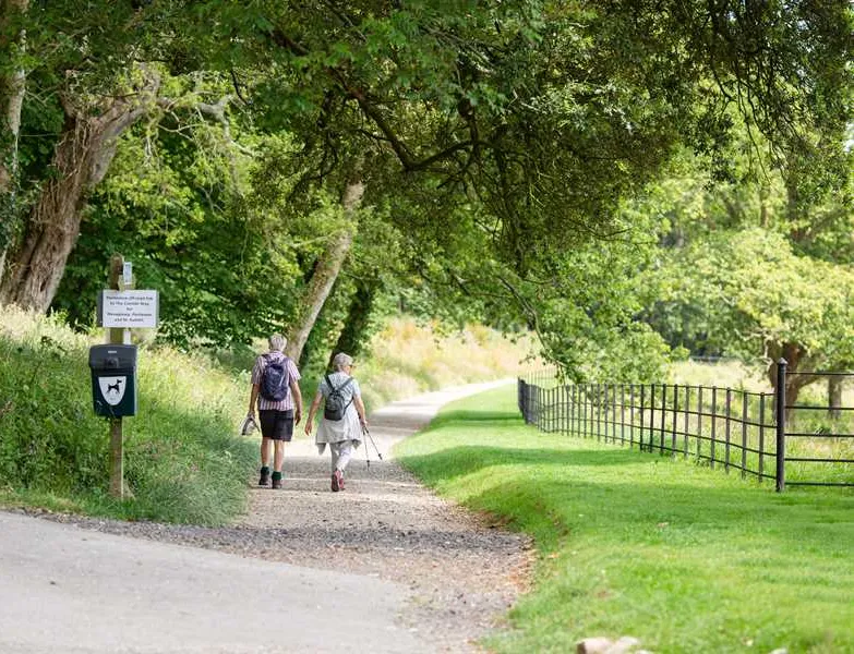 heligan-woods-caravan-camping-park-st-austell-kjtoe