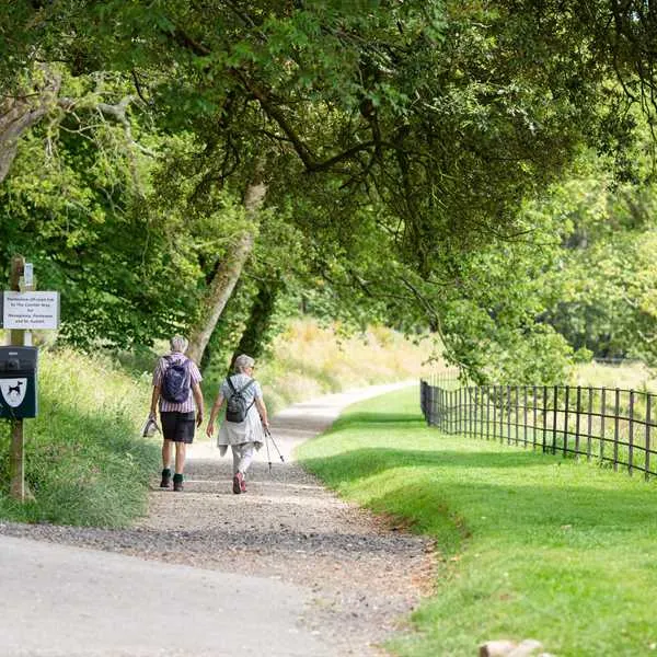 heligan-woods-caravan-camping-park-st-austell-kjtoe
