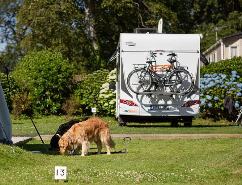 heligan-woods-caravan-camping-park-st-austell-uczej