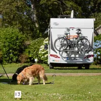 heligan-woods-caravan-camping-park-st-austell-uczej