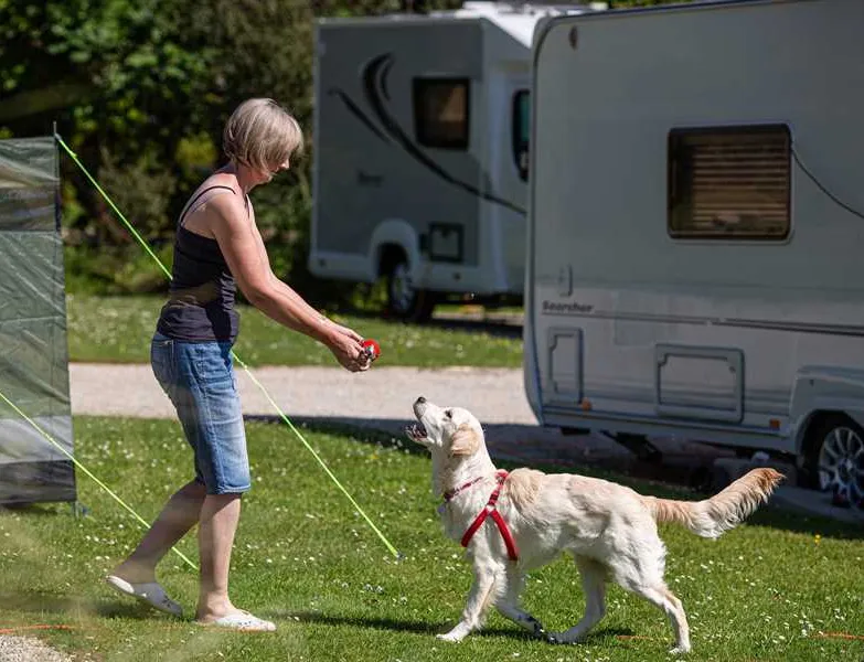 heligan-woods-caravan-camping-park-st-austell-uiyva