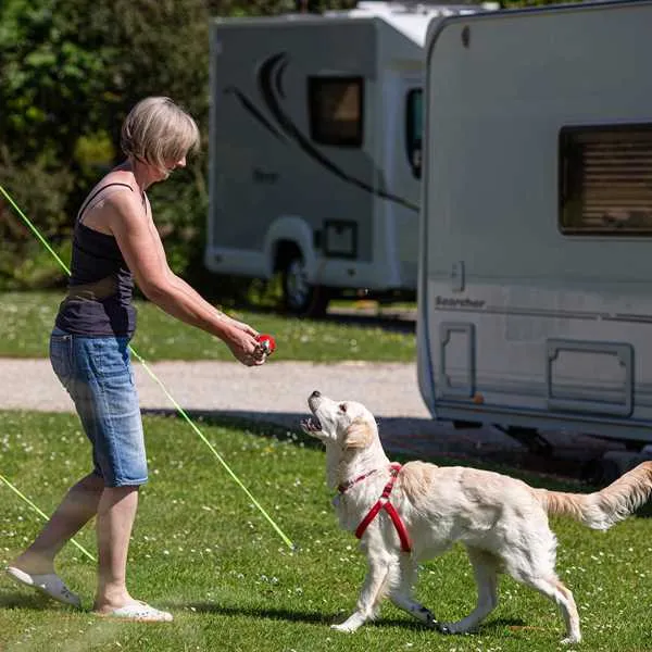 heligan-woods-caravan-camping-park-st-austell-uiyva