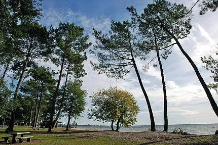 camping-municipal-du-lac-de-cazaux-la-teste-de-buch-clflr