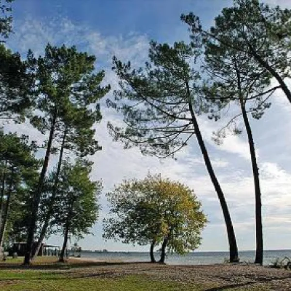camping-municipal-du-lac-de-cazaux-la-teste-de-buch-clflr