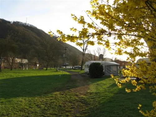 camping-moselislands-treiskarden-kn0fo