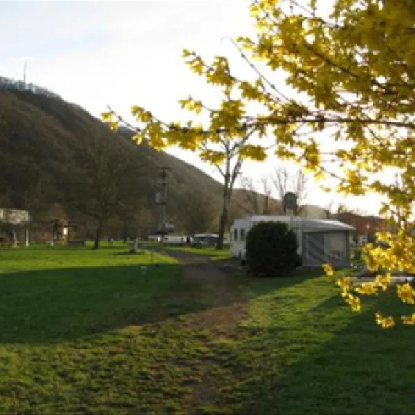camping-moselislands-treiskarden-kn0fo