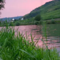 camping-moselislands-treiskarden-n9hai