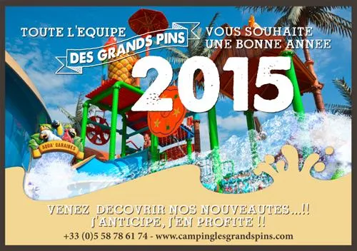 camping-les-grands-pins-sanguinet-jiji8