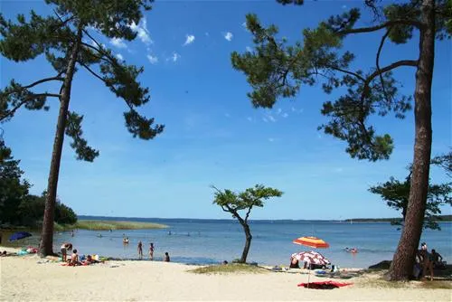 camping-les-grands-pins-sanguinet-wejxy