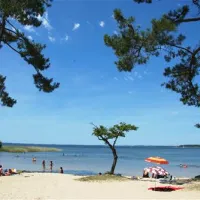 camping-les-grands-pins-sanguinet-wejxy