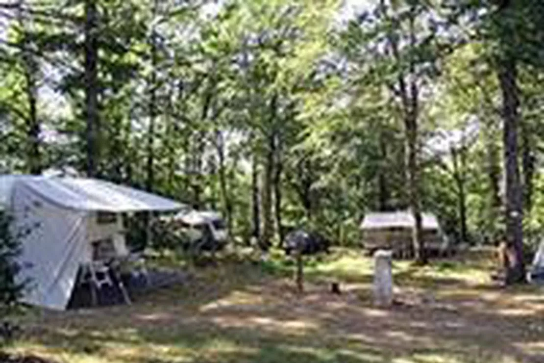 camping-les-monts-dalbi-teillet-gbkqn