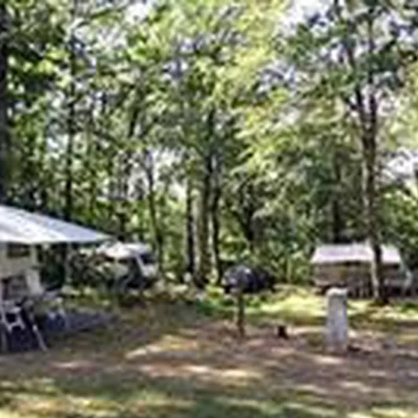 camping-les-monts-dalbi-teillet-gbkqn