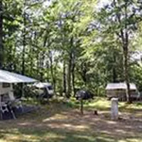 camping-les-monts-dalbi-teillet-gbkqn