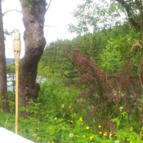 Camping Okertalsperre