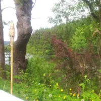camping-okertalsperre-altenau-tfwar