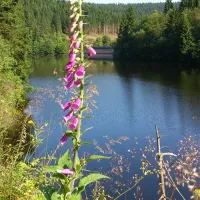 camping-okertalsperre-altenau-tto2s
