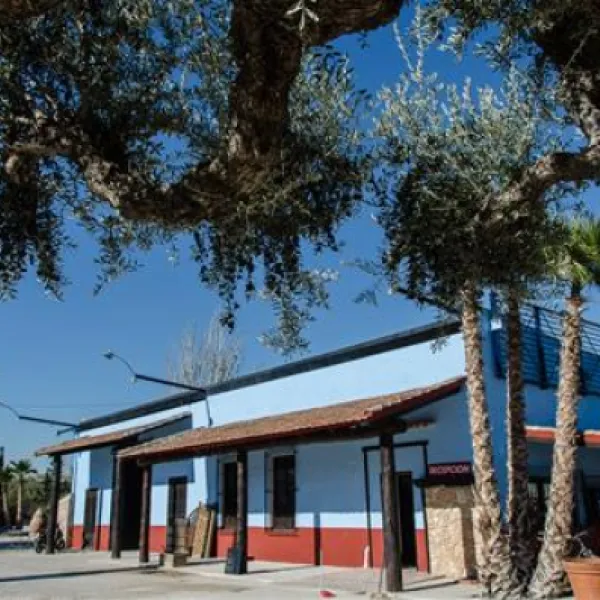 camper-park-casablanca-murcia-qwqqa