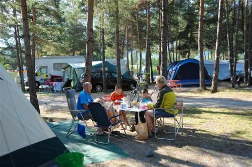 camping-kiefernhain-prad-am-stilfserjoch-9cths