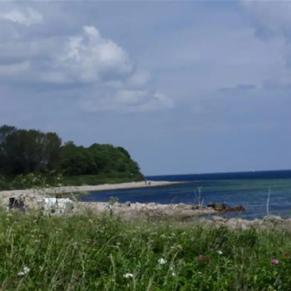camping-langholz-waabs-ptrgz