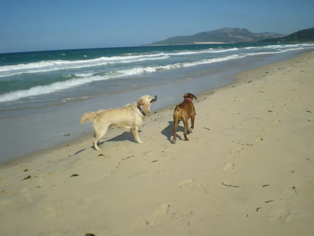 camping-rio-jara-cdiz-0c3ou