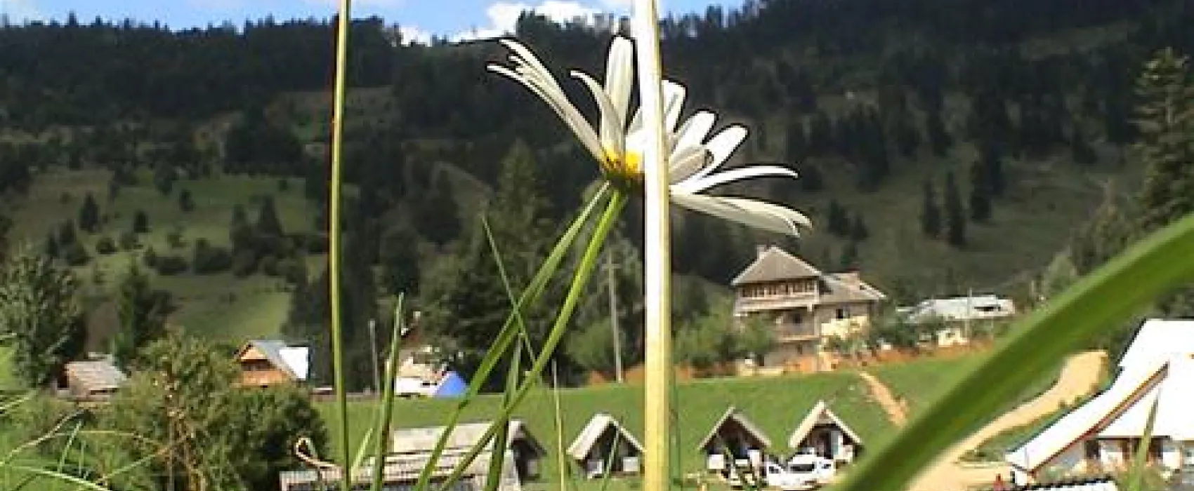 Camping Ursulet