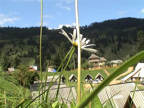 camping-ursulet-durau-afxtk