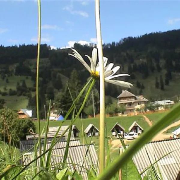 camping-ursulet-durau-afxtk