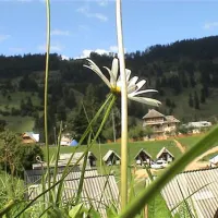 camping-ursulet-durau-afxtk