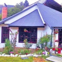 camping-ursulet-durau-crfid