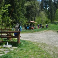 camping-ursulet-durau-jqhpz