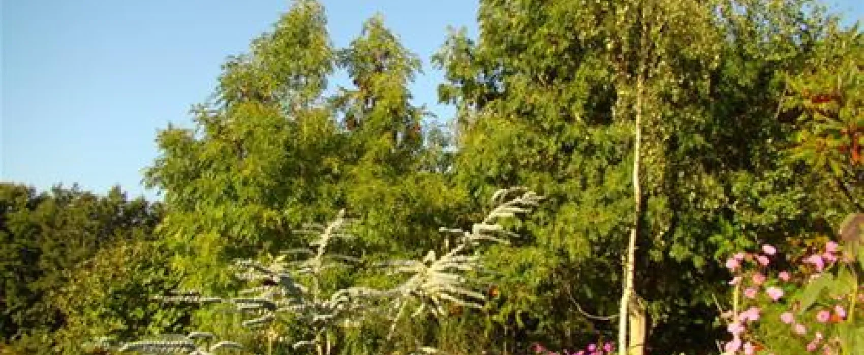 Camping ** La Fontaine Du Hallate  en Morbihan