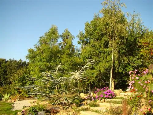 camping-la-fontaine-du-hallate-en-morbihan-plougoumelen-8u8as