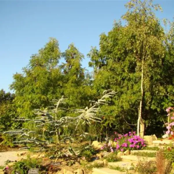 camping-la-fontaine-du-hallate-en-morbihan-plougoumelen-8u8as
