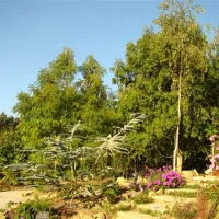 Camping ** La Fontaine Du Hallate  en Morbihan