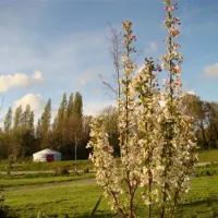 camping-la-fontaine-du-hallate-en-morbihan-plougoumelen-jyelu