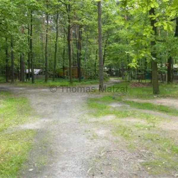 campingplatz-deutschbaselitz-kamenz-bsct0