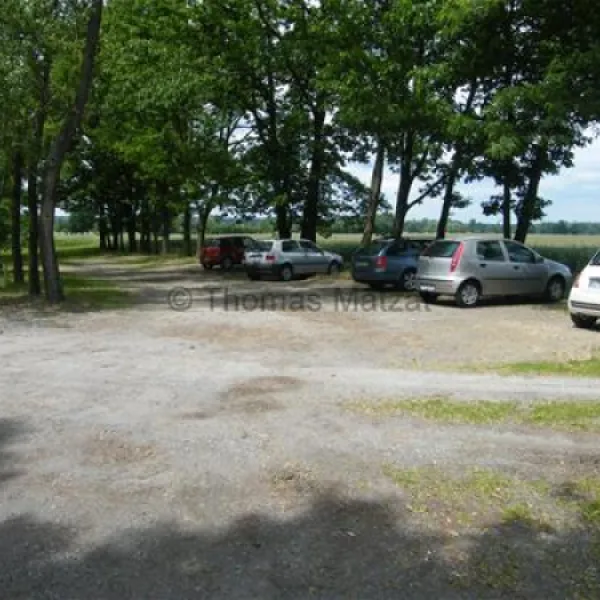 campingplatz-deutschbaselitz-kamenz-wmsm3