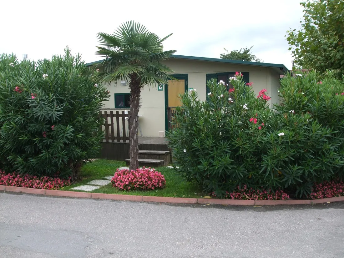camping-butterfly-peschiera-del-garda-f3yok