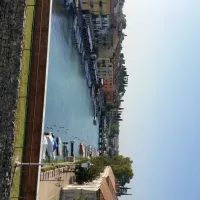 camping-butterfly-peschiera-del-garda-inn0n