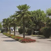 camping-butterfly-peschiera-del-garda-zfapu