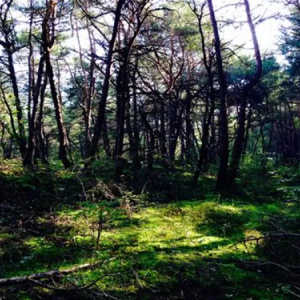 camping-bellatola-restaurant-susten-ytcvv