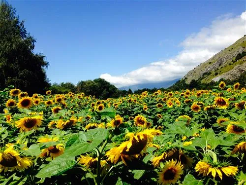 camping-bellatola-restaurant-susten-z5afh