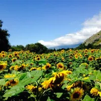 camping-bellatola-restaurant-susten-z5afh