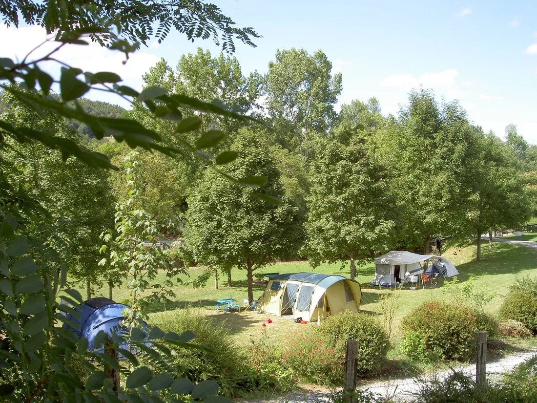 camping-carrique-alossibasabense-fgdbg