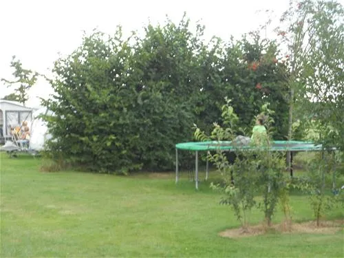 camping-musselkanaal-musselkanaal-8ifye