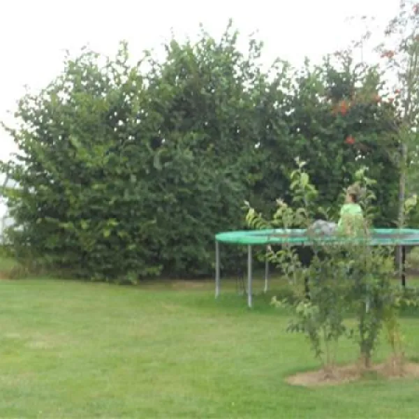 camping-musselkanaal-musselkanaal-8ifye
