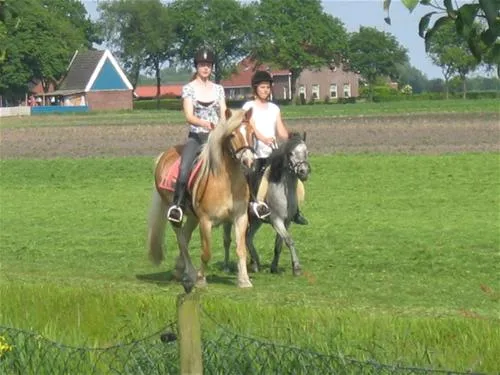 camping-musselkanaal-musselkanaal-nx9tj